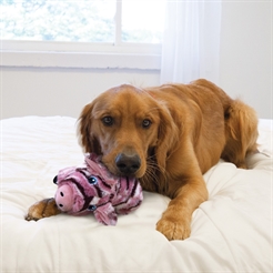 Kong grisebamse